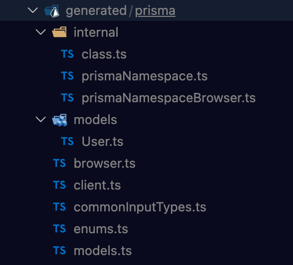prisma-generated-outputs